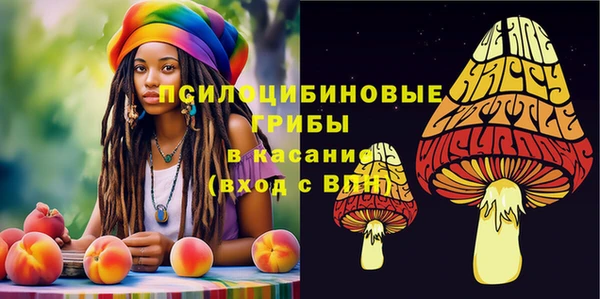 spice Балабаново